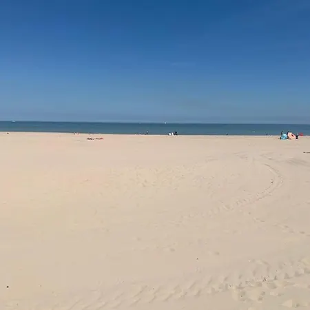 Plein Centre Proche Plage Avec Jardin Apartament *